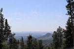 IMG_8402.jpeg