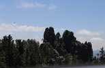 IMG_8403.jpeg
