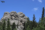 IMG_8415.jpeg
