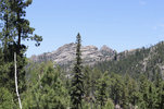 IMG_8421.jpeg