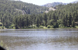 IMG_8423.jpeg