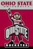 ncaa-ohio-state-buckeyes-2-sided-house-banner.jpeg