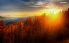 sunset-on-the-forest-5123-1280x800.jpg