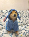 1692263604705.png