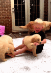 ,daily_gifdump_4454_04.gif