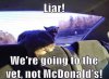 cat-dishonesty-discovery-time.jpg