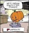 FB_IMG_1696347155118~2.jpg