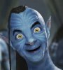 bean_images.jpg