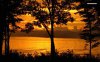 sunset-in-in-the-forest-6560-1280x800.jpeg