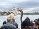 IMG_3172.jpeg