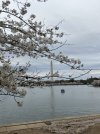 IMG_3170.jpeg