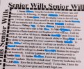 seniorwill.jpg