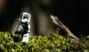 star_wars_multiscreen_legos_Wallpaper_3360x1050_ww.jpg