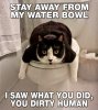 waterbowl.jpg