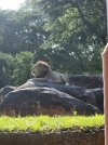 20240620_085757.jpg