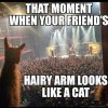 hairy-cat-time.jpg