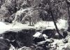 yosemite1.gif