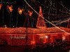 lights 2.jpg
