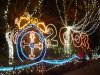 lights 5.jpg