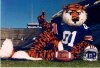 aubie.jpg