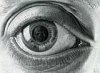 eye 13.jpg