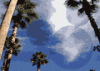 cupidav.gif