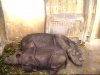 ph02-05small.jpg