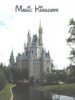 magic kingdom.jpg