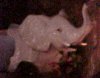 elephunt.jpg