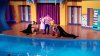 SeaLion5.jpg