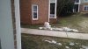 IMG_20150303_140025056.jpg