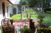 backyard landscape 001.JPG