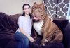huge pit bull.jpg