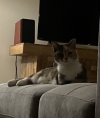 IMG_3347.jpeg