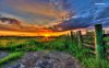 gorgeous-sunset-on-the-field-6668-1280x800.jpeg