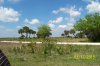 Kissimmee Prairie 009.JPG