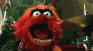 Animal Muppet.gif