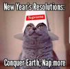 1735478050240.png