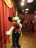 IMG_6262.JPG IMG_6262.JPG