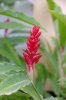 DSC_0728_DxO.jpg