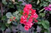DSC_0750_DxO.jpg