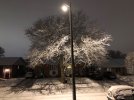 IMG_9873.jpeg