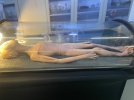 IMG_5241.jpeg