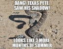 IMG_6053.jpeg