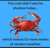FB_IMG_1738520979902.jpg