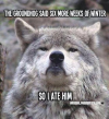 1738578100406.png