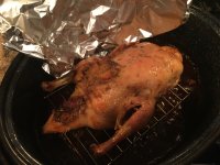 IMG_5428.jpeg