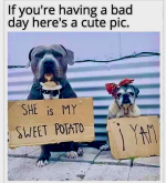 1739346771797.png
