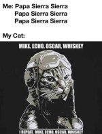 FB_IMG_1739389839523.jpg