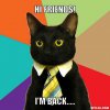 3206735-3206733-business-cat-meme-generator-hi-fri.jpg